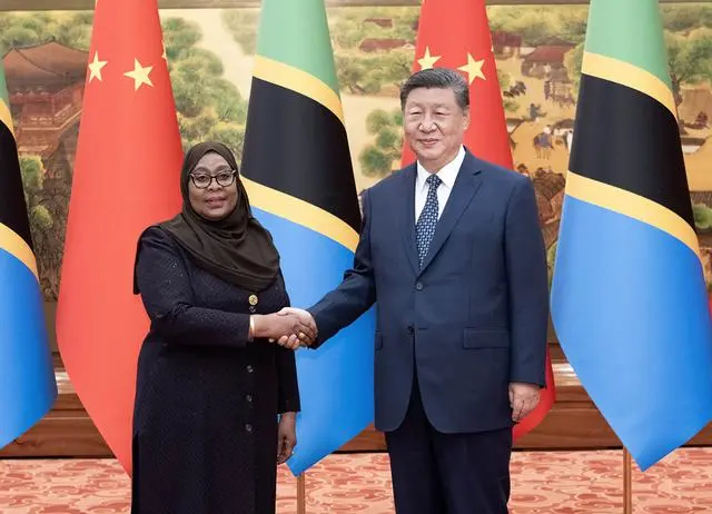 President XI and President of Tanzania